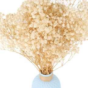 6500+ White Dried Baby's Breath Flowers Bouquet, 100Pcs Mini Real Natural Gypsophila Branches for Christmas Tree Decorations, DIY Crafts, DIY Wreath Home Party Wedding, Invitations, Valentine's Day in Kuwait