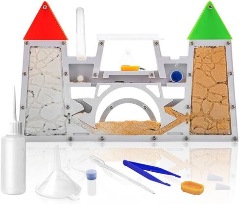 Ant Farm Kit for Kids, Sand Ant Colony Ant Farms Terrarium Kit for Kids, Educational & Learning Science Kit Toy for Boys, Girls & Adults (Red Green) in Saudi Arabia