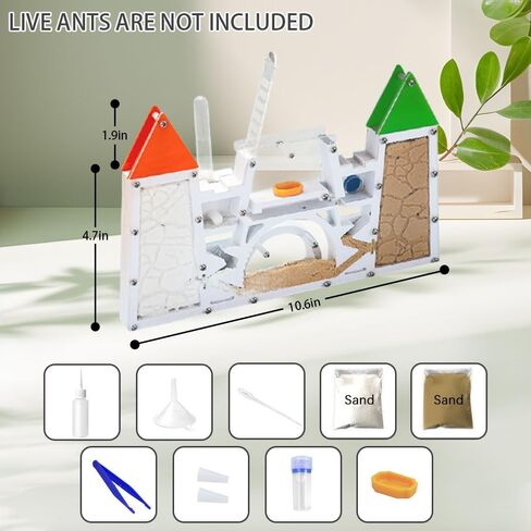 Ant Farm Kit for Kids, Sand Ant Colony Ant Farms Terrarium Kit for Kids, Educational & Learning Science Kit Toy for Boys, Girls & Adults (Red Green) in Saudi Arabia