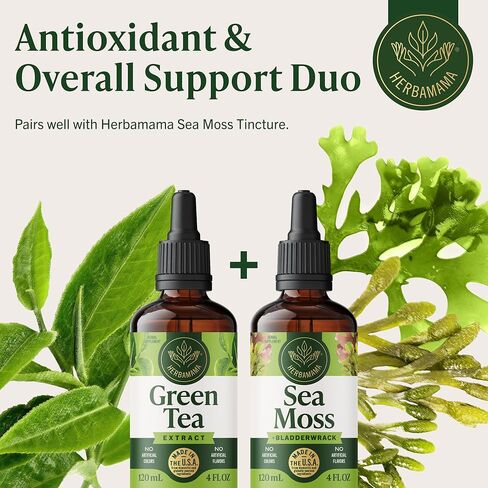 HERBAMAMA Green Tea Drops - Vegan Antioxidant & Overall Support with Green Tea Extract Liquid Tincture - Non-GMO, Alcohol & Sugar-Free Camellia Sinensis Supplement, 84-Day Supply in Saudi Arabia