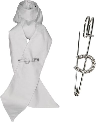 دبوس ربطة عنق - حدوة حصان سباركلي in Kuwait