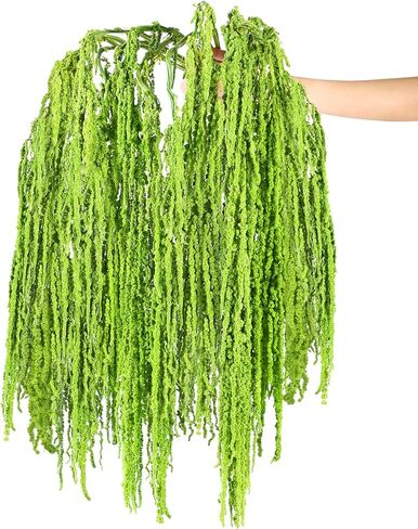 Suncalla 24 Pcs Brownish-red Spring Natural Dried Amaranthus Hanging Flowers Amaranthus Artificial Flowers for Wedding Arch Bouquet Floral Garland Wall Home Decoration (23 Inch) in Saudi Arabia