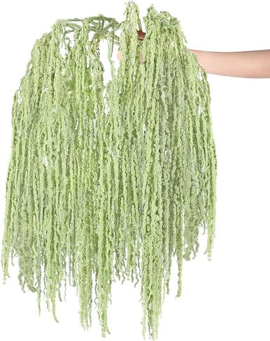 Suncalla 24 Pcs Brownish-red Spring Natural Dried Amaranthus Hanging Flowers Amaranthus Artificial Flowers for Wedding Arch Bouquet Floral Garland Wall Home Decoration (23 Inch) in Saudi Arabia