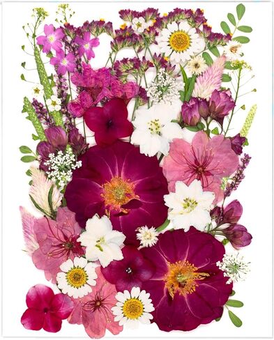 52 Pcs Red Dried Pressed Flowers for Resin, Real Natural Bulk Dry Wildflowers Leaves Perfect for Epoxy Molds, DIY Crafts, Nails Soap Candles Jewelry Making, and Home Decor in Saudi Arabia