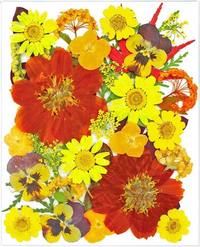 52 Pcs Red Dried Pressed Flowers for Resin, Real Natural Bulk Dry Wildflowers Leaves Perfect for Epoxy Molds, DIY Crafts, Nails Soap Candles Jewelry Making, and Home Decor in Saudi Arabia