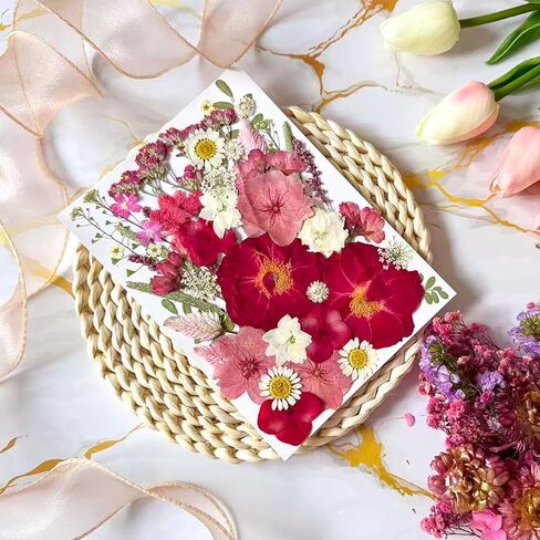 52 Pcs Red Dried Pressed Flowers for Resin, Real Natural Bulk Dry Wildflowers Leaves Perfect for Epoxy Molds, DIY Crafts, Nails Soap Candles Jewelry Making, and Home Decor in Saudi Arabia