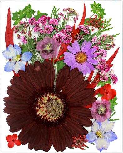 52 Pcs Red Dried Pressed Flowers for Resin, Real Natural Bulk Dry Wildflowers Leaves Perfect for Epoxy Molds, DIY Crafts, Nails Soap Candles Jewelry Making, and Home Decor in Saudi Arabia