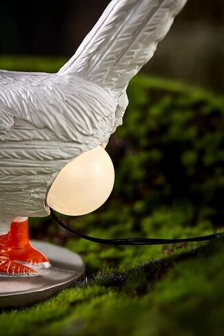 3D LED Egg Table Lamp - Funny Resin Chicken Night Light with USB, Perfect Christmas or Birthday Gift in Saudi Arabia