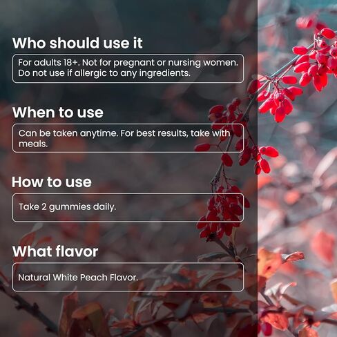 Berberine HCl Gummies Supplement 2000mg, High Potency Berberine with Ceylon Cinnamon, Chromium and Bitter Melon for Women & Men, Metabolism Support, AMPK, Sugar Free, Vegan, 120 Count, 60 Day Supply in Kuwait