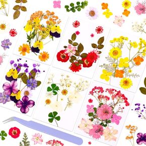 Pressed Dried Flowers 102pcs Natural Mixed Colors – Real Preserved Petals for Crafting, Art, Candles, Scrapbooking, Floral Decor, Nail Design – Dried Flowers for Crafts & Pressed Flowers Kit in Saudi Arabia