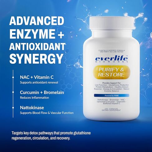 مكمل دعم التخلص من سموم الكبد والبروتين من Everlife - الكركمين الشحمي مع NAC والكيرسيتين والبروميلين وفيتامين C المخزن - الدورة الدموية ومضادات الأكسدة ومزيج دعم المناعة - 150 كبسولة in Kuwait