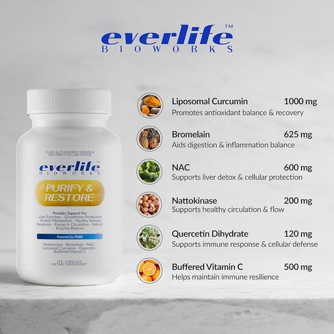 مكمل دعم التخلص من سموم الكبد والبروتين من Everlife - الكركمين الشحمي مع NAC والكيرسيتين والبروميلين وفيتامين C المخزن - الدورة الدموية ومضادات الأكسدة ومزيج دعم المناعة - 150 كبسولة in Kuwait
