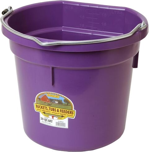Little Giant® Flat Back Plastic Animal Feed Bucket | Animal Feed Bucket with Metal Handle | Horse Feed & Water Bucket | 8 Quarts | Purple in Kuwait