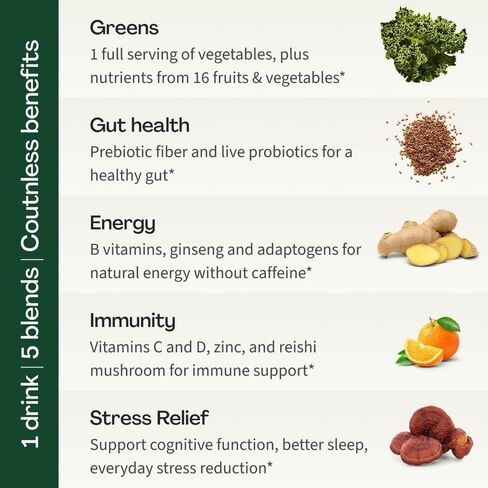FACTOR FORM Daily Greens Superfood Powder | 5 Functional Blends for Gut Health, Energy & Immunity | Prebiotics, Probiotics, Adaptogens, B Vitamins (30 Servings, Jar) in Saudi Arabia