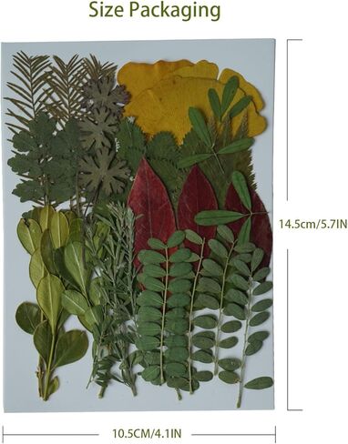Dried Pressed Leaves Flowers for Craftsl Bulk Natural Leaves for Pressed Leaf Art Craft DIY, Epoxy Resin Jewelry Molds, Candle, Soap Making, Nails Décor (Leaf, 35 Pcs) in Saudi Arabia