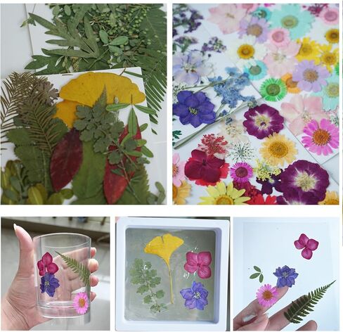 Dried Pressed Leaves Flowers for Craftsl Bulk Natural Leaves for Pressed Leaf Art Craft DIY, Epoxy Resin Jewelry Molds, Candle, Soap Making, Nails Décor (Leaf, 35 Pcs) in Saudi Arabia