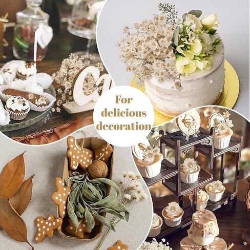 300 قطعة من الزهور الجافة الطبيعية البرازيلية ذات النجمة الصغيرة، بابونج صغير أبيض مقاس 33 سم، باقة زهور الأقحوان المجففة لحفلات الزفاف، ديكورات المنزل، عيد الميلاد، تنسيقات الزهور in Kuwait