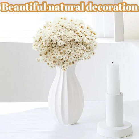 300 قطعة من الزهور الجافة الطبيعية البرازيلية ذات النجمة الصغيرة، بابونج صغير أبيض مقاس 33 سم، باقة زهور الأقحوان المجففة لحفلات الزفاف، ديكورات المنزل، عيد الميلاد، تنسيقات الزهور in Kuwait