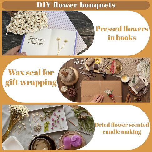 300 قطعة من الزهور الجافة الطبيعية البرازيلية ذات النجمة الصغيرة، بابونج صغير أبيض مقاس 33 سم، باقة زهور الأقحوان المجففة لحفلات الزفاف، ديكورات المنزل، عيد الميلاد، تنسيقات الزهور in Kuwait