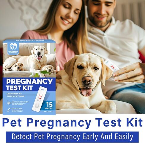 Dog Pregnancy Test, Dog Pregnancy Test Kit at Home, 15 min-Fast and Accurate Detection for Dogs & Cats, Painless, high Accuracy Rate up to 99%, 4Pcs/Kit in Kuwait