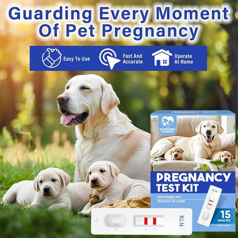Dog Pregnancy Test, Dog Pregnancy Test Kit at Home, 15 min-Fast and Accurate Detection for Dogs & Cats, Painless, high Accuracy Rate up to 99%, 4Pcs/Kit in Kuwait