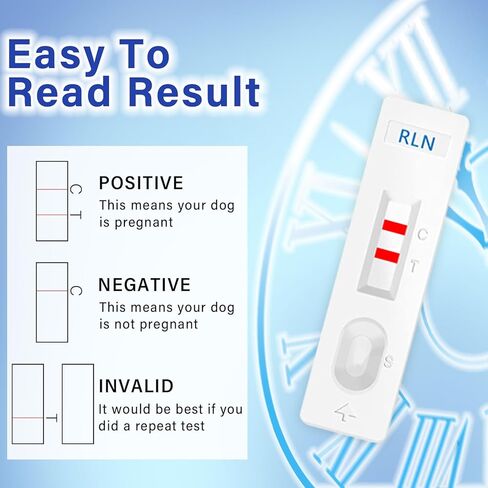 Dog Pregnancy Test, Dog Pregnancy Test Kit at Home, 15 min-Fast and Accurate Detection for Dogs & Cats, Painless, high Accuracy Rate up to 99%, 4Pcs/Kit in Kuwait