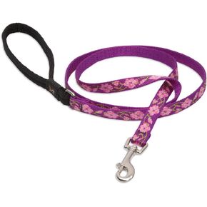 LupinePet Originals 1/2" Rose Garden 6-Foot Padded Handle Leash for Small Pets