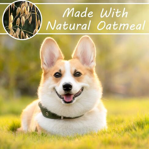 شامبو الشوفان للكلاب من Otterly Pets، أساسيات الكلاب والجراء للحساسية والحكة، بلسم صابون مضاد للحساسية، أفضل لغسول الجلد الجاف ذو الرائحة الكريهة، يساعد في علاج قشرة الحيوانات الأليفة in Kuwait