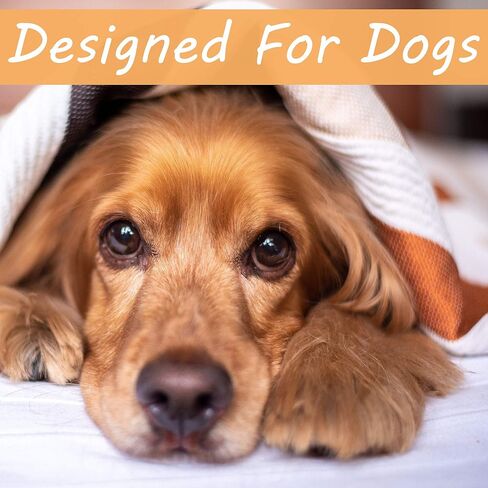 شامبو الشوفان للكلاب من Otterly Pets، أساسيات الكلاب والجراء للحساسية والحكة، بلسم صابون مضاد للحساسية، أفضل لغسول الجلد الجاف ذو الرائحة الكريهة، يساعد في علاج قشرة الحيوانات الأليفة in Kuwait