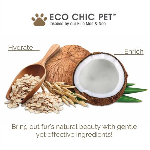 شامبو وبلسم جيوفاني الاحترافي 2 في 1 للحيوانات الأليفة - للكلاب والقطط، والشوفان وجوز الهند، يساعد على تحييد الروائح، وينظف بعمق، وينعم الحرير، ويتحكم في الكهرباء الساكنة - 128 أونصة in Kuwait