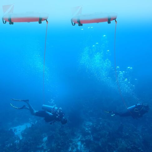 kanayu نفخ تعويم الغوص سطح علامة العوامة Spearfishing إشارة المجلس العوامة مع علم الغوص، نفخ إشارة العائمة freediving الحبل المقود للغوص الرياضات المائية إشارة القوارب الصيد in Saudi Arabia