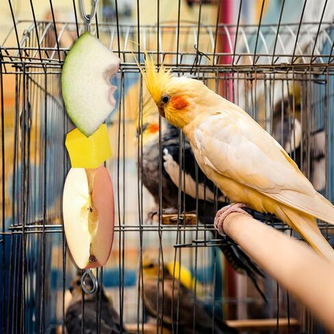 oreutkd 3 حزمة طعام الطيور يعامل سيخ، الفولاذ المقاوم للصدأ الحيوانات الصغيرة الفاكهة الخضروات حامل طعام الطيور مع السنانير، لعبة علف الطيور معلقة أداة معالجة الطعام للببغاوات كوكاتو كوكاتيل قفص in Kuwait