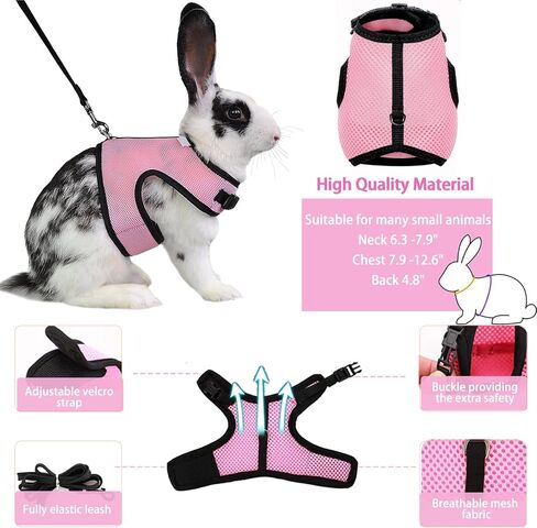 CUTENNIOU Small Pet Carrier Backpack Rabbit Carrier with Harness Vest Stretchy Elastic Leash Large Breathable Pet Carrier Airline Approved for Bunny Guinea Pig Ferret Hedgehog Kitten Travel Walking in Saudi Arabia
