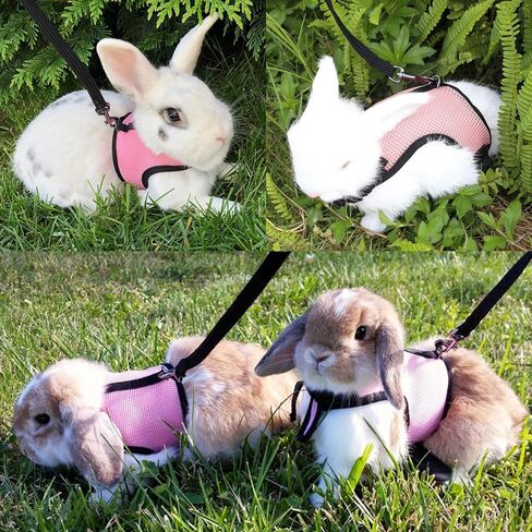 CUTENNIOU Small Pet Carrier Backpack Rabbit Carrier with Harness Vest Stretchy Elastic Leash Large Breathable Pet Carrier Airline Approved for Bunny Guinea Pig Ferret Hedgehog Kitten Travel Walking in Saudi Arabia