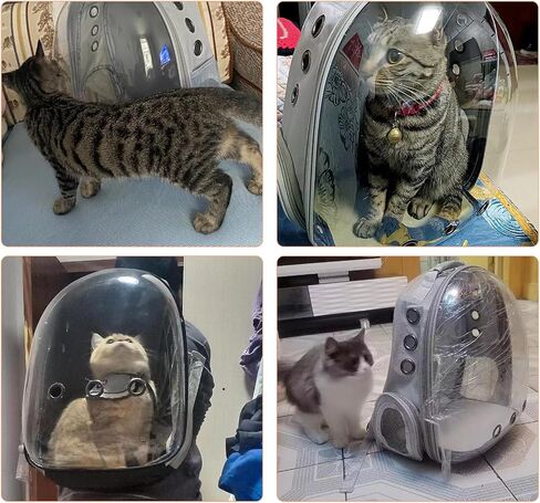 CUTENNIOU Small Pet Carrier Backpack Rabbit Carrier with Harness Vest Stretchy Elastic Leash Large Breathable Pet Carrier Airline Approved for Bunny Guinea Pig Ferret Hedgehog Kitten Travel Walking in Saudi Arabia