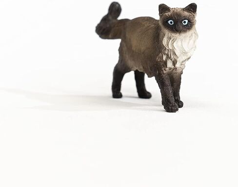 Schleich Farm World, Realistic Cat Animal Toys for Kids, American Shorthair Cat Toy, Brown and White, Ages 3+ in Saudi Arabia