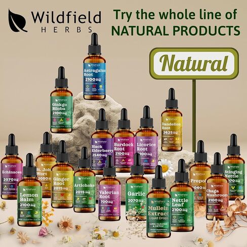 2 أونصة من قطرات سائلة من خلاصة أوراق الريحان المقدسة 2000 مجم (Ocimum Tenuiflorum) مكمل عشبي، 84 وجبة، صبغة خالية من الكحول in Kuwait
