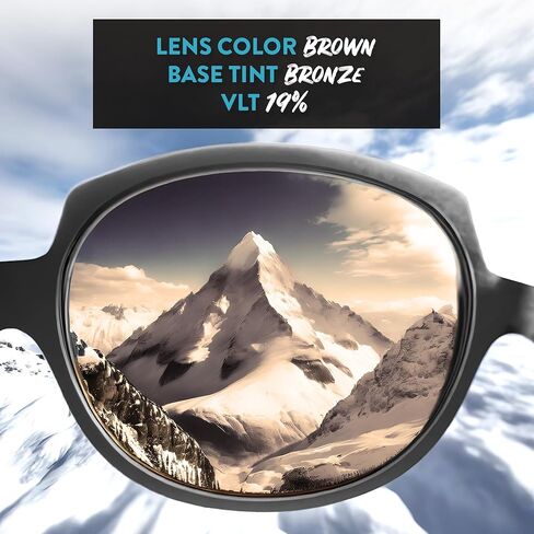 Apex Lenses Polarized Replacement Lenses for Revo Jett Sunglasses (Brown) in Kuwait