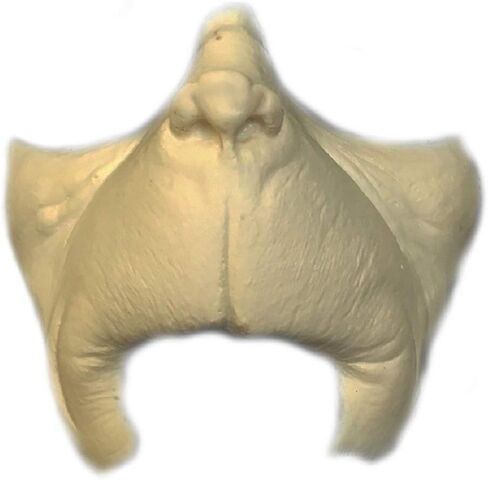 Seuss مستوحى من ما هو رقم 1 من مادة Mayor Augustus Foam اللاتكس الاصطناعي - جودة الفيلم، رغوة ناعمة تتحرك مع وجهك باللون الأبيض الفاتح in Kuwait