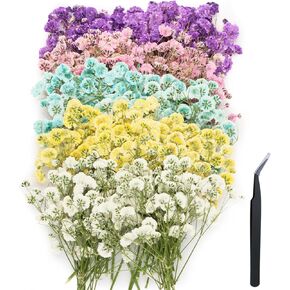 200 pcs Mini Dried Pressed Baby’s Breath Flowers Bulk - Real Natural Flat Flowers for Epoxy Craft, Scrapbooking, Wedding Invitations, Home Decor, DIY Gifts for Crafters (L-200p c s) in Kuwait