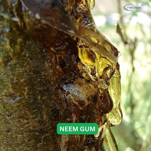 Neotea Natural Neem Gum – 200GM (7.05 OZ) | Edible Herbal Resin | Raw & Natural | Cooling Summer Ingredient for Drinks & Wellness in Saudi Arabia