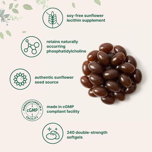 Micro Ingredients Sunflower Lecithin 2,400mg, 240 Softgels | Natural Sunflower Seed Oil Source with Phosphatidylcholine | Soy Free Lecithin Supplement | Non-GMO, No Gluten in Saudi Arabia