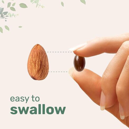 Micro Ingredients Sunflower Lecithin 2,400mg, 240 Softgels | Natural Sunflower Seed Oil Source with Phosphatidylcholine | Soy Free Lecithin Supplement | Non-GMO, No Gluten in Saudi Arabia