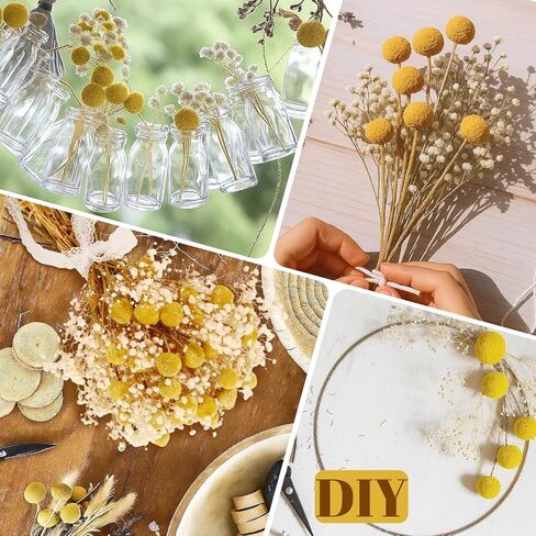 50 قطعة من كرات بيلي المجففة وزهور أنفاس الطفل البيضاء، 16 بوصة 30 قطعة من الكرسبيديا الصفراء المجففة و20 قطعة من زهور جيبسوفيلا البيضاء، ديكور مزرعة بوهو ريفي، الزفاف، الكيك، تزيين المزهرية الطويلة، الحرف اليدوية in Kuwait