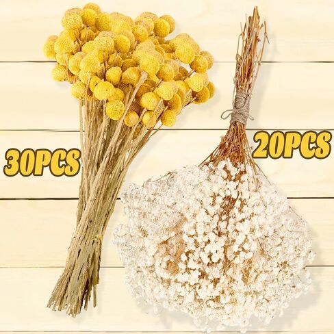 50 قطعة من كرات بيلي المجففة وزهور أنفاس الطفل البيضاء، 16 بوصة 30 قطعة من الكرسبيديا الصفراء المجففة و20 قطعة من زهور جيبسوفيلا البيضاء، ديكور مزرعة بوهو ريفي، الزفاف، الكيك، تزيين المزهرية الطويلة، الحرف اليدوية in Kuwait