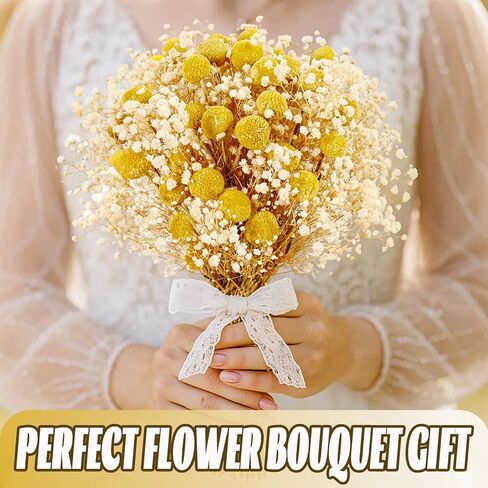 50 قطعة من كرات بيلي المجففة وزهور أنفاس الطفل البيضاء، 16 بوصة 30 قطعة من الكرسبيديا الصفراء المجففة و20 قطعة من زهور جيبسوفيلا البيضاء، ديكور مزرعة بوهو ريفي، الزفاف، الكيك، تزيين المزهرية الطويلة، الحرف اليدوية in Kuwait