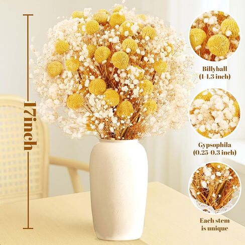 50 قطعة من كرات بيلي المجففة وزهور أنفاس الطفل البيضاء، 16 بوصة 30 قطعة من الكرسبيديا الصفراء المجففة و20 قطعة من زهور جيبسوفيلا البيضاء، ديكور مزرعة بوهو ريفي، الزفاف، الكيك، تزيين المزهرية الطويلة، الحرف اليدوية in Kuwait