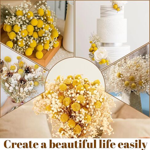 50 قطعة من كرات بيلي المجففة وزهور أنفاس الطفل البيضاء، 16 بوصة 30 قطعة من الكرسبيديا الصفراء المجففة و20 قطعة من زهور جيبسوفيلا البيضاء، ديكور مزرعة بوهو ريفي، الزفاف، الكيك، تزيين المزهرية الطويلة، الحرف اليدوية in Kuwait