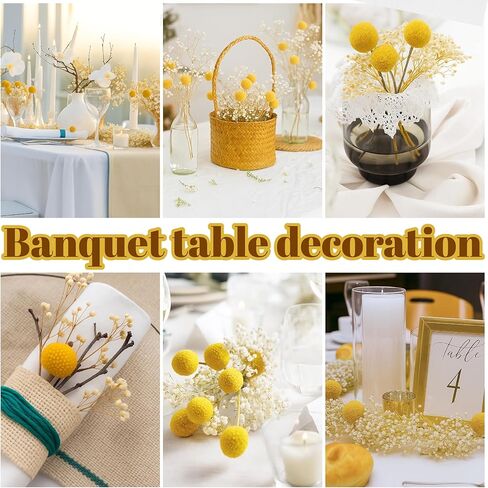 50 قطعة من كرات بيلي المجففة وزهور أنفاس الطفل البيضاء، 16 بوصة 30 قطعة من الكرسبيديا الصفراء المجففة و20 قطعة من زهور جيبسوفيلا البيضاء، ديكور مزرعة بوهو ريفي، الزفاف، الكيك، تزيين المزهرية الطويلة، الحرف اليدوية in Kuwait