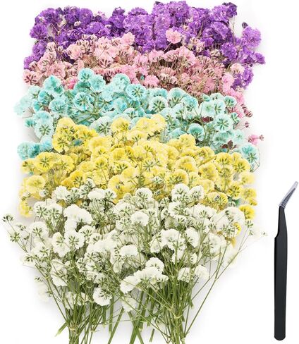 200 pcs Mini Dried Pressed Baby’s Breath Flowers Bulk - Real Natural Flat Flowers for Epoxy Craft, Scrapbooking, Wedding Invitations, Home Decor, DIY Gifts for Crafters (L-200p c s) in Kuwait